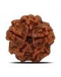 1 Mukhi Rudraksha (Nepal) 18.93 MM