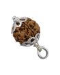 5 Mukhi Rudraksha Silver Pendant (Nepal)