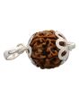 6 Mukhi Rudraksha Silver Pendant (Nepal)