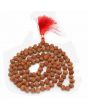 7 Mukhi Rudraksha Mala (Indonesia) (108+1 Beads) GJSPC Certified