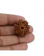8 Mukhi Rudraksha (Nepal) 25.39 MM 