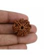 8 Mukhi Rudraksha (Nepal) 25.39 MM 