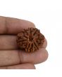 8 Mukhi Rudraksha (Nepal) 25.19 MM 