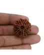 8 Mukhi Rudraksha (Nepal) 27.37 MM 