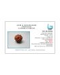 8 Mukhi Rudraksha (Nepal) 18.52 MM