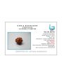 8 Mukhi Rudraksha (Nepal) 21.83 MM