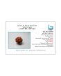 8 Mukhi Rudraksha (Nepal) 20.07 MM