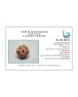 8 Mukhi Rudraksha (Nepal) 21.12 MM