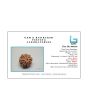 8 Mukhi Rudraksha (Nepal) 19.69 MM