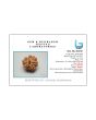 8 Mukhi Rudraksha (Nepal) 21.12 MM