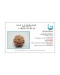 8 Mukhi Rudraksha (Nepal) 20.27 MM