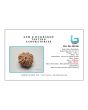 8 Mukhi Rudraksha (Nepal) 20.01 MM