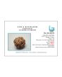 8 Mukhi Rudraksha (Nepal) 24.06 MM