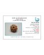 8 Mukhi Rudraksha (Nepal) 24.73 MM