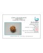 8 Mukhi Rudraksha (Nepal) 17.21 MM