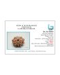 9 Mukhi Rudraksha (Nepal) 22.66 MM