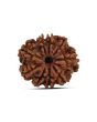 9 Mukhi Rudraksha (Nepal) 20.93 MM