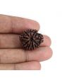 9 Mukhi Rudraksha (Nepal) 22.8 MM