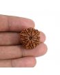 9 Mukhi Rudraksha (Nepal) 22.63 MM