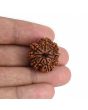 9 Mukhi Rudraksha (Nepal) 23 MM
