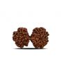 Natural 10 Mukhi (Ten Mukhi) Gauri Shankar Rudraksha (Nepal) GJSPC Certified 31.99 M.M.