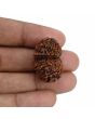 Natural 10 Mukhi (Ten Mukhi) Gauri Shankar Rudraksha (Nepal) GJSPC Certified 28.59 M.M.