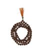 2 Mukhi Rudraksha (India)