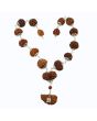 Rudraksha Silver Siddha Mala 1 to 14 Mukhi With Gauri Shankar, Ganesh Rudraksha GJSPC Certified     