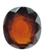 Hessonite (Gomed) - 8.58 Carat 