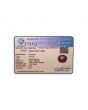 Star Ruby 7.67 Carat 