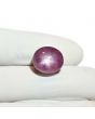 Star Ruby 14.05 Carat 
