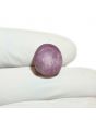 Star Ruby 14.05 Carat 