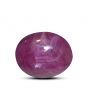 Star Ruby 16.8 Carat 