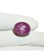 Star Ruby 16.8 Carat 
