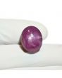 Star Ruby 16.8 Carat 