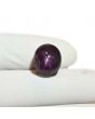 Star Ruby 13.56 Carat