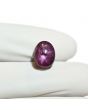 Star Ruby 7.98 Carat 