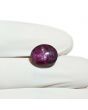 Star Ruby 7.23 Carat 