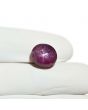 Star Ruby 8.69 Carat 