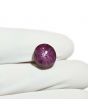 Star Ruby 8.69 Carat 