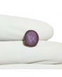 Star Ruby 7.91 Carat 