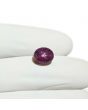 Star Ruby 5 Carat 