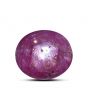 Star Ruby 17.46 Carat 