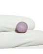Star Ruby 9.19 Carat 