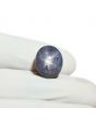 Star Ruby 19.55 Carat 