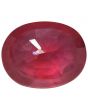 Ruby (Treated) - 5.02 Carat