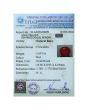 Ruby (Treated) - 5.69 Carat 