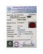 Ruby (Treated) - 6.91 Carat 