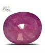 Ruby - 3.87 Carat 