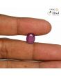 Ruby - 3.87 Carat 